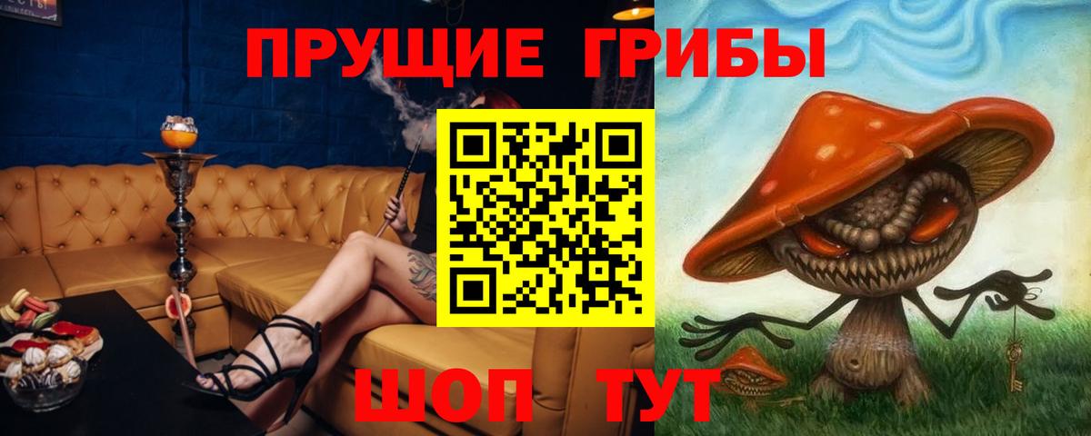 хочу   Вход с VPN  Оренбург  Псилоцибиновые грибы мицелий 